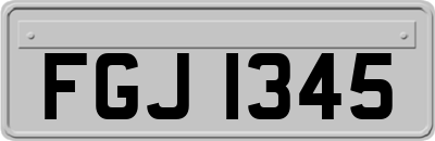 FGJ1345