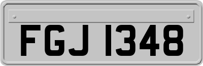 FGJ1348