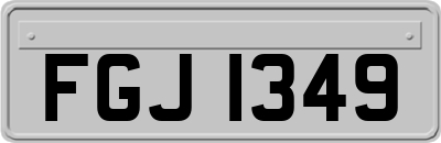 FGJ1349