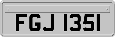 FGJ1351