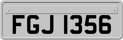 FGJ1356