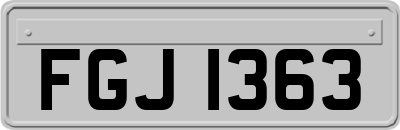 FGJ1363
