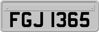 FGJ1365