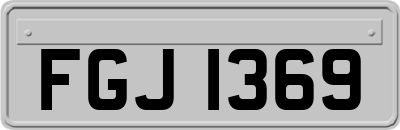 FGJ1369