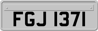 FGJ1371