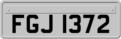 FGJ1372