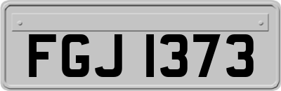 FGJ1373