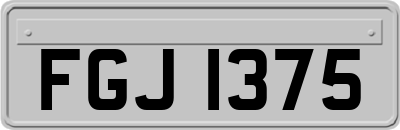 FGJ1375