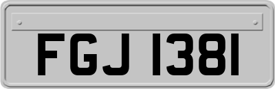 FGJ1381