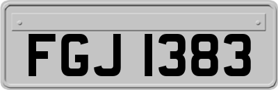 FGJ1383