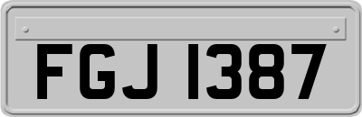 FGJ1387