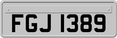 FGJ1389