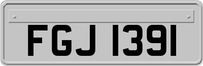 FGJ1391