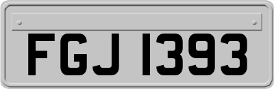 FGJ1393