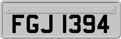 FGJ1394