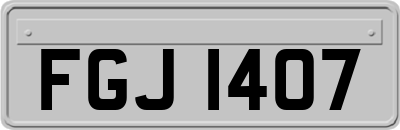 FGJ1407