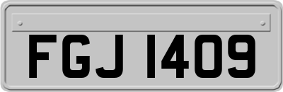 FGJ1409