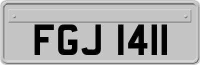 FGJ1411