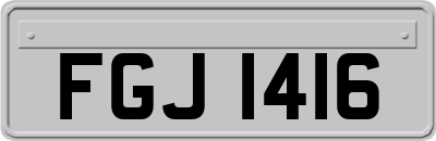 FGJ1416