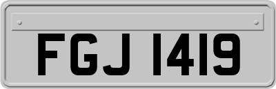 FGJ1419