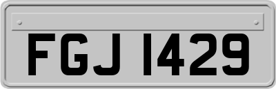 FGJ1429