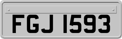 FGJ1593