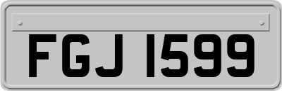 FGJ1599