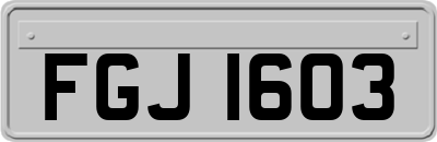 FGJ1603
