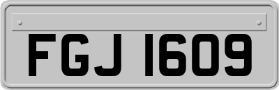 FGJ1609