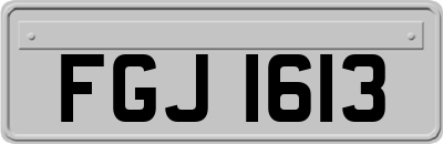 FGJ1613