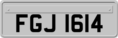 FGJ1614