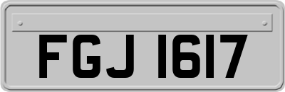 FGJ1617