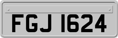 FGJ1624