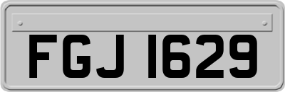 FGJ1629