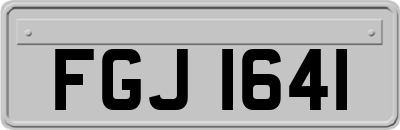 FGJ1641