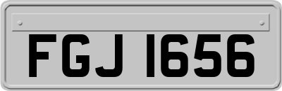 FGJ1656