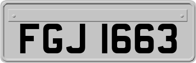 FGJ1663