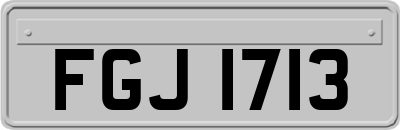 FGJ1713