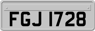 FGJ1728