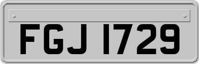 FGJ1729
