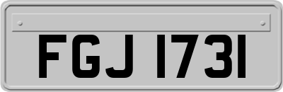 FGJ1731