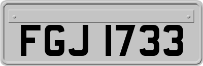 FGJ1733