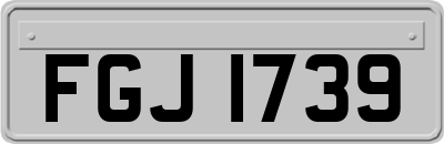 FGJ1739