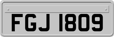 FGJ1809
