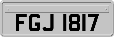 FGJ1817