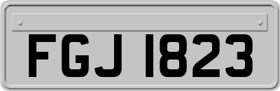 FGJ1823