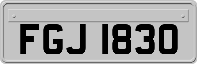 FGJ1830