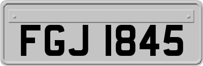FGJ1845
