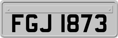FGJ1873