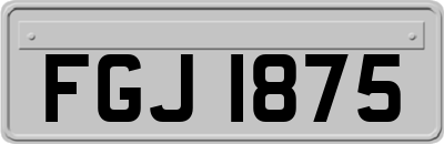FGJ1875